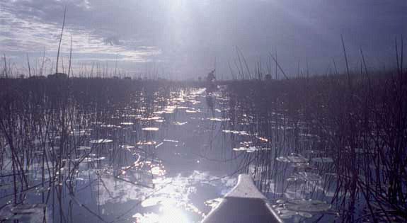 616-135-05.jpg