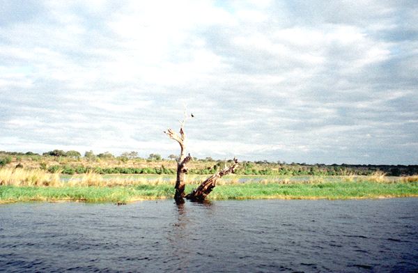 590-887-07.jpg