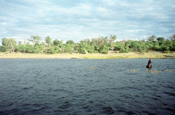 590-887-11.jpg