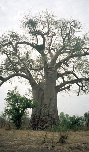 590-887-15.jpg