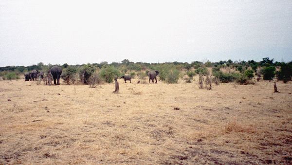 590-887-18.jpg
