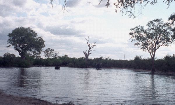 590-887-23.jpg