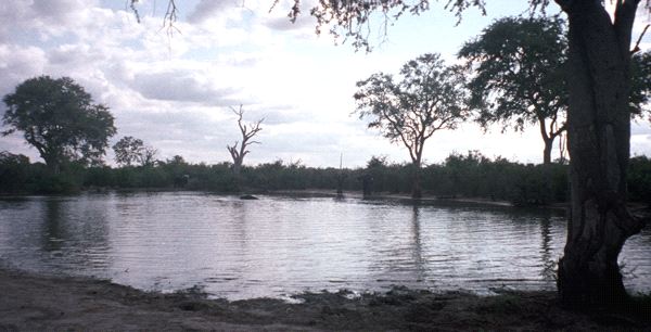 590-887-24.jpg