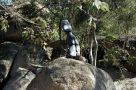 9509-07.jpg