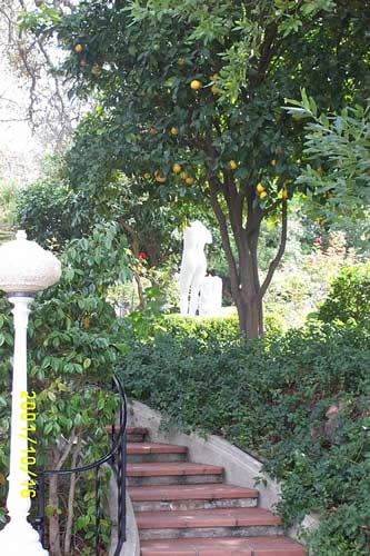 <giggle> Naked statue