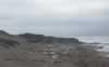 Those white lumps are elephant seals (13,766 bytes)