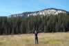 The Hills are alive.... (35,837 bytes)
