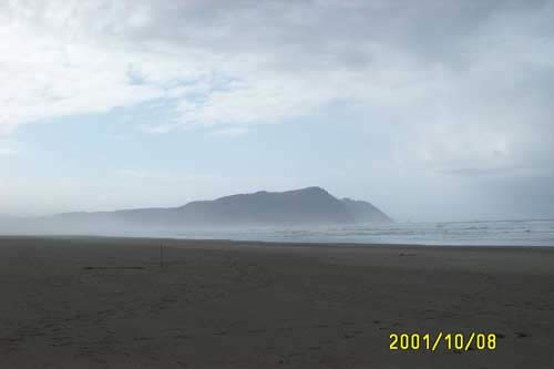 Misty beach