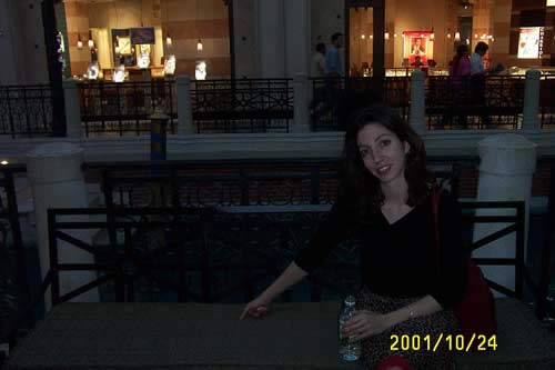 On the canals of the Venetian
