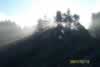 Morning sun through the trees (15,863 bytes)