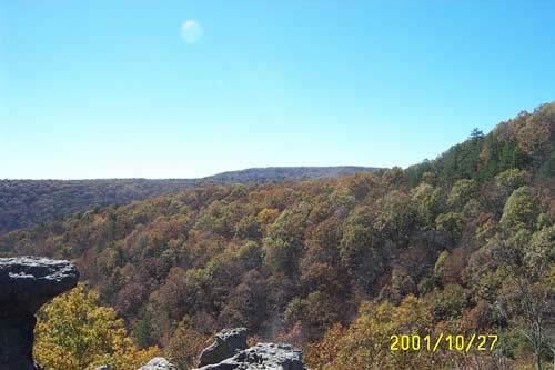 The first time we get to see some autumn