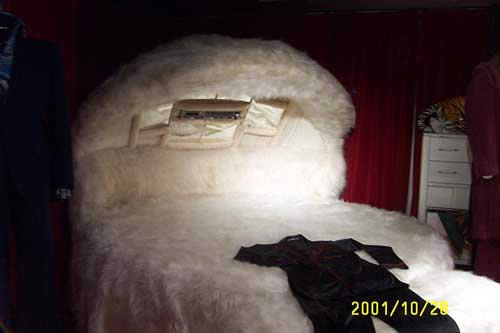 It's either a bed or a large Muppet