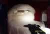 It's either a bed or a large Muppet (14,774 bytes)