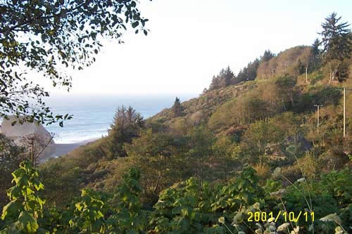 Can you find the hidden farmhouse/WWII radio listening post?