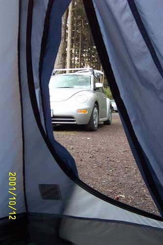 Peek-a-Bug