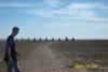 Cadillac Ranch, TX (19,578 bytes)