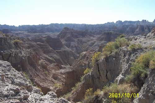 Majestic