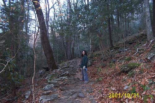 Up the hill