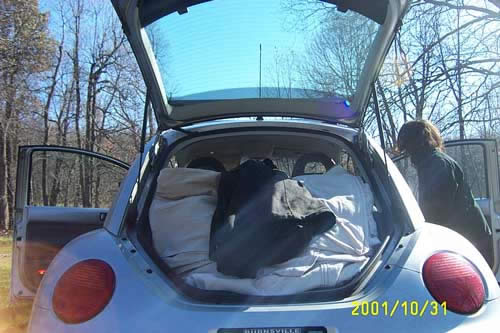 As our rear view mirror is obscured, so are the last days of the trip