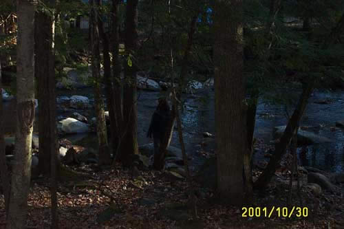 Can you find Tracey?