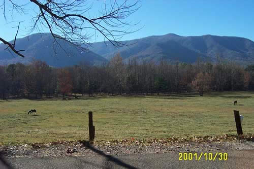 Cades Cove