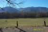 Cades Cove (31,407 bytes)
