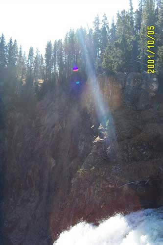 Sunbeams