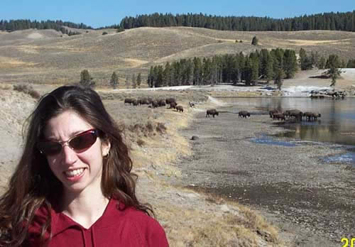 Bison in the background