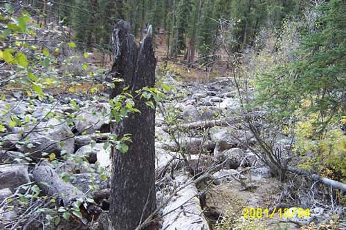 Hiking along