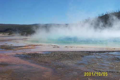 Someone tried to swim here last year