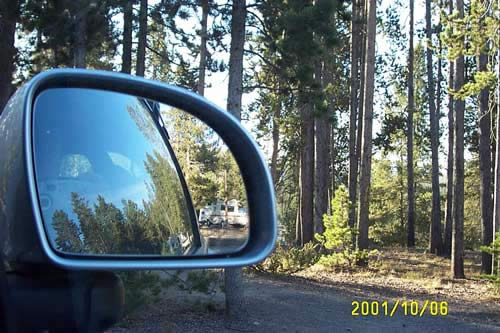 A Bug's view of the wilderness