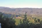 Napa 04 - 010.jpg (94kb)