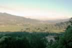 Napa 04 - 011.jpg (70kb)