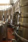 Napa 04 - 023.jpg (55kb)