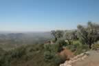 Napa 04 - 068.jpg (69kb)