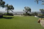Napa 04 - 069.jpg (86kb)