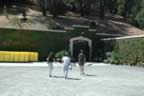 Napa 04 - 086.jpg (108kb)