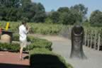 Napa 04 - 102.jpg (119kb)