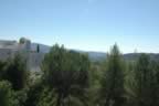 Napa 04 - 106.jpg (59kb)