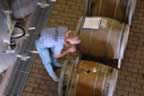 Napa 04 - 109.jpg (76kb)