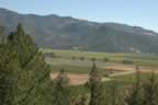 Napa 04 - 114.jpg (96kb)