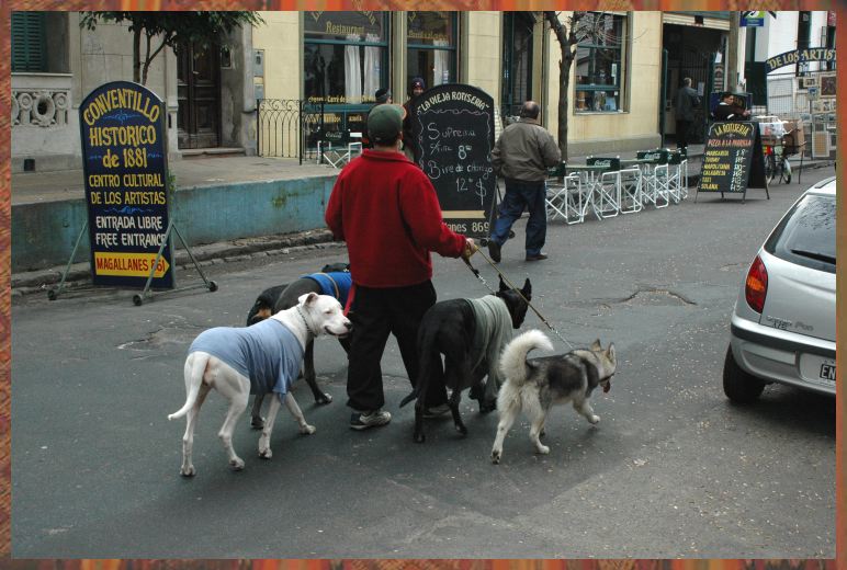 Boca Dogs