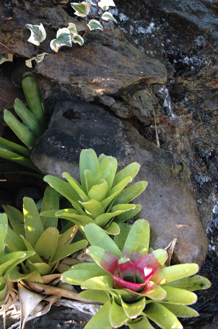 DSC_0124